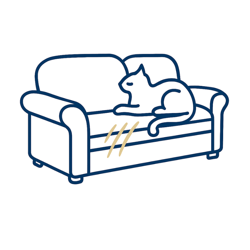 Anti-Scratch Couch Covers