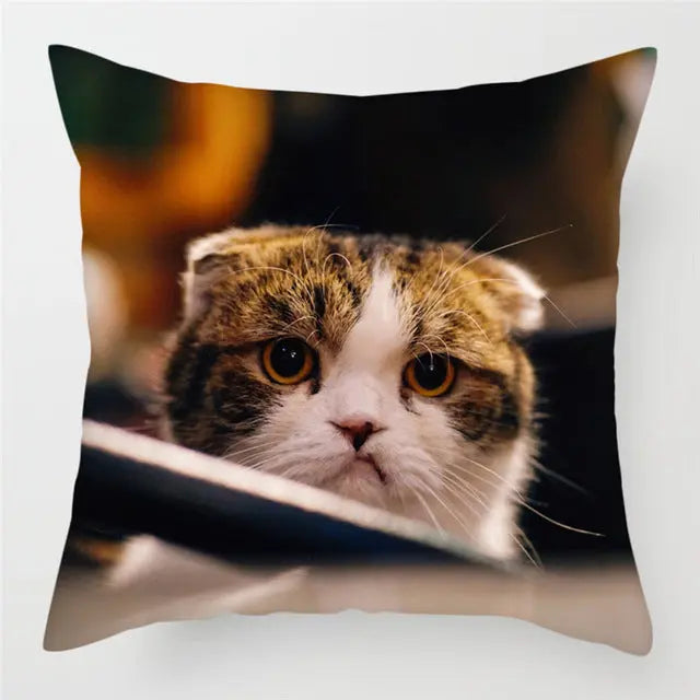 Pillow Cover Peachskin Modern AURELIE 15Style