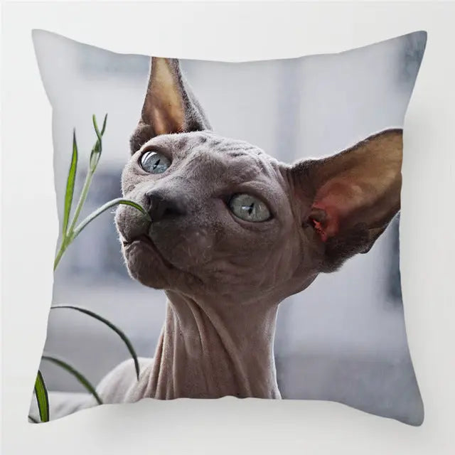 Pillow Cover Peachskin Modern AURELIE 3Style