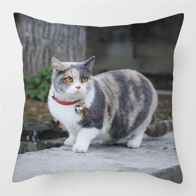 Pillow Cover Peachskin Modern AURELIE 9Style