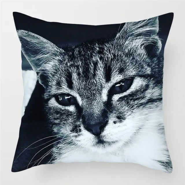 Pillow Cover Peachskin Modern LUMIERE 14Style