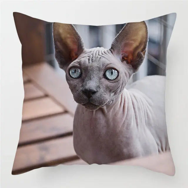 Pillow Cover Peachskin Modern LUMIERE 17Style