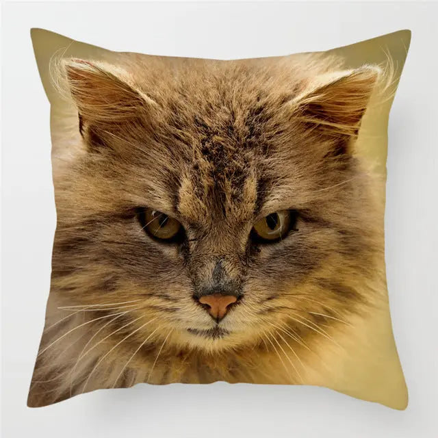 Pillow Cover Peachskin Modern LUMIERE 2Style