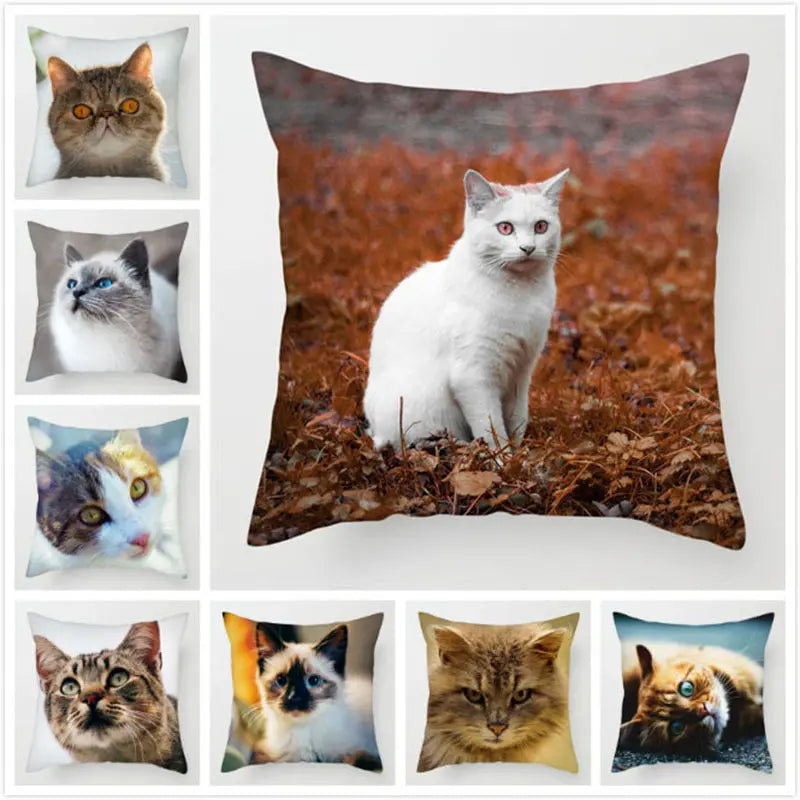 Pillow Cover Peachskin Modern LUMIERE